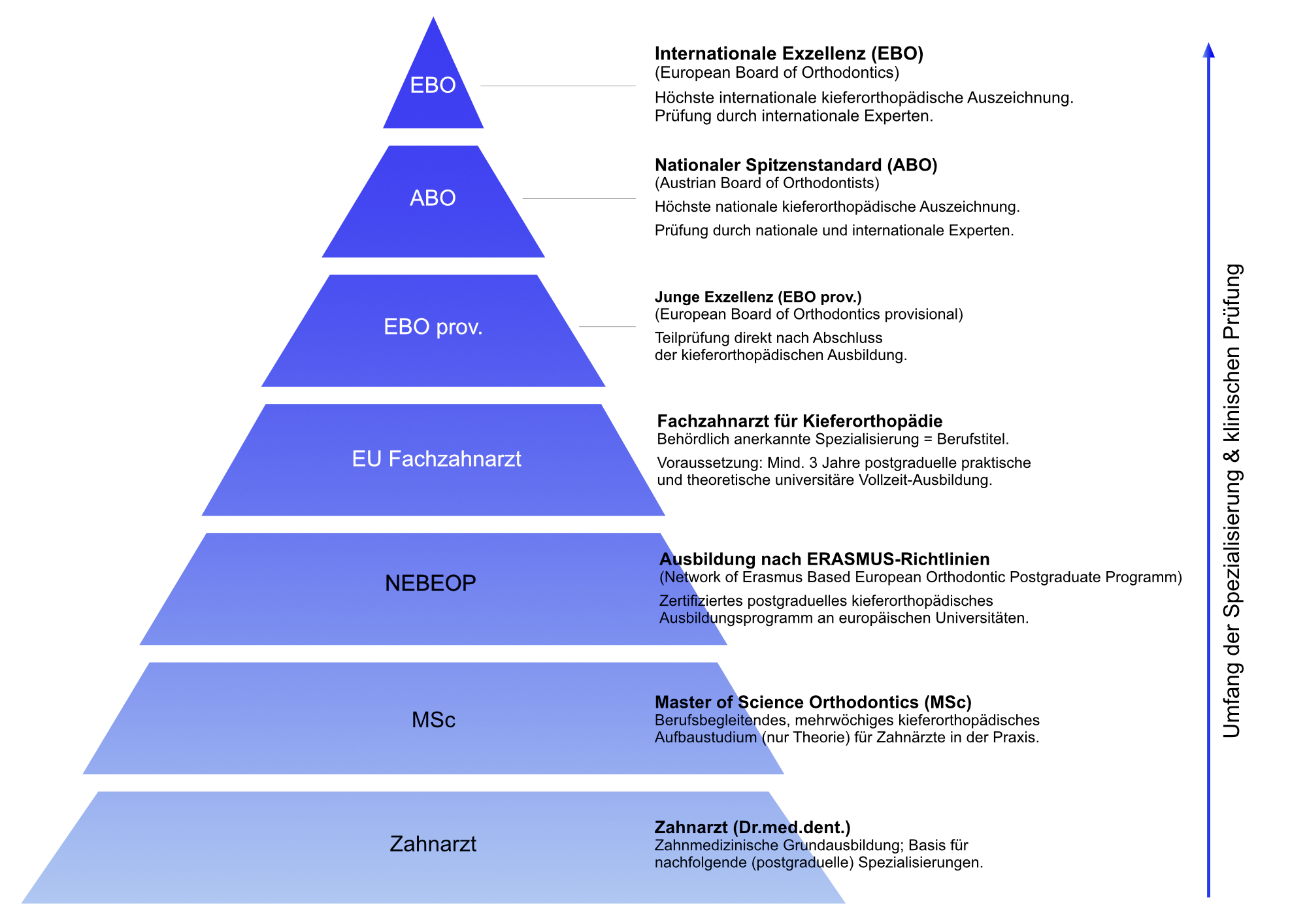 Spezialisierungen, Pyramide